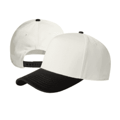 Two Tone hat